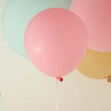 10 Pack | 18inch Matte Pastel Blush Helium or Air Latex Party Balloons