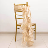 5 Pack Beige Curly Willow Chiffon Satin Chair Sashes