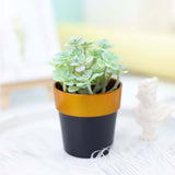 3 Pack | 3inch Black Gold Rimmed Small Flower Plant Pots, Indoor Decorative Planters