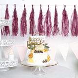 12 Pack | Pre-Tied Eggplant Tissue Paper Tassel Garland With String, Hanging Fringe Party Streamer Backdrop Decor