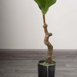 2 Pack | 3ft Artificial Fiddle Leaf Fig Tree Potted Indoor Planter