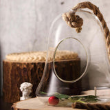 9inch Air Plant Hanging Glass Bell Shaped Terrarium With Twine Rope, Free-Falling Planter