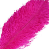 12 Pack | 13inch - 15inch Fuchsia Natural Plume Real Ostrich Feathers#whtbkgd