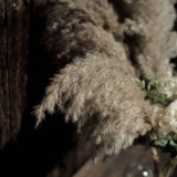 6 Stems | 32inch Natural Tint Dried Natural Pampas Grass Plant Sprays