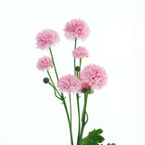 2 Bushes | 33" Blush/Rose Gold Artificial Mums Spray, Faux Chrysanthemum Flower Bouquet