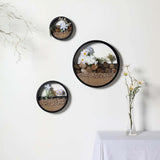 Set of 3 Black Half Moon Wall Planters Round Metal Wall Hanging Planter Modern Indoor Terrarium