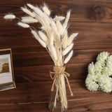 50 Pack | 15inch Natural White Rabbit Tail Dried Pampas Grass Stem Bouquets