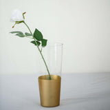 2 Pack | 12inch Clear Glass Vases | Bud Vases | Gold Dipped Cylinder Vases