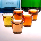 50 Pack | 2oz Clear Plastic Disposable Shot Glasses