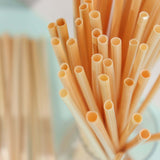 Compostable Plant Based Disposable Plastic FREE Straws, Eco-Friendly 9inch Wheat Drinking Straws