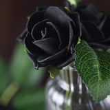 24 Roses | 2inch Black Artificial Foam Flowers With Stem Wire and Leaves
