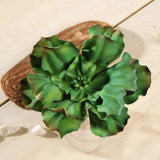 3 Pack | 6inches Artificial PVC Wavy Kalanchoe Decorative Succulent Plants