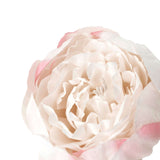 10 Pack | 3inch Blush/Rose Gold Artificial Silk DIY Craft Peony Flower Heads