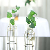 Set of 2 | Bottle Shaped Gold Metal Frame Test Tube Bud Vases, Geometric Glass Wedding Centerpieces