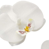 20 Flower Heads | 4inch White Artificial Silk Orchids DIY Crafts