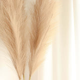 3 Stems | 44inch Taupe Artificial Pampas Grass Plant Sprays, Faux Branches Vase Flower Arrangement