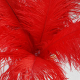 12 Pack | 13-15inch Red Natural Plume Real Ostrich Feathers, DIY Centerpiece Fillers