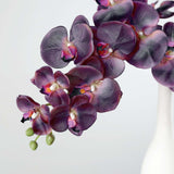 2 Stems | 40inch Tall Eggplant Artificial Silk Orchid Flower Bouquets