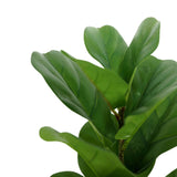 2 Bushes | 25Inch Green Artificial Fiddle Leaf Branch Stems, Faux Plants#whtbkgd