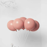 25 Pack | 10inch Matte Dusty Rose Double Stuffed Prepacked Latex Balloons