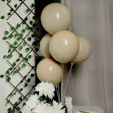 25 Pack | 12inch Matte Nude Double Stuffed Prepacked Latex Balloons