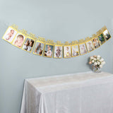 12 Month Milestone 1st Birthday Party Photo Backdrop Hanging Banner, Baby Photo Garland Banner