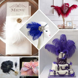 12 Pack | 13-15inch Mauve Natural Plume Real Ostrich Feathers, DIY Centerpiece Fillers