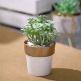 3 Pack | 3inch White Gold Rimmed Small Flower Plant Pots, Indoor Decorative Planters