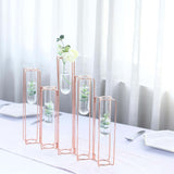 Set of 5 | 15inch Conjoined Rose Gold Frame Test Tube Hydroponic Vases, Wedding Centerpieces