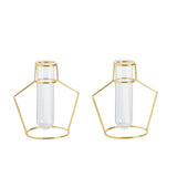 2 Pack | 6.5inch Geometric Gold Metal Frame Test Tube Vase Flower Stands