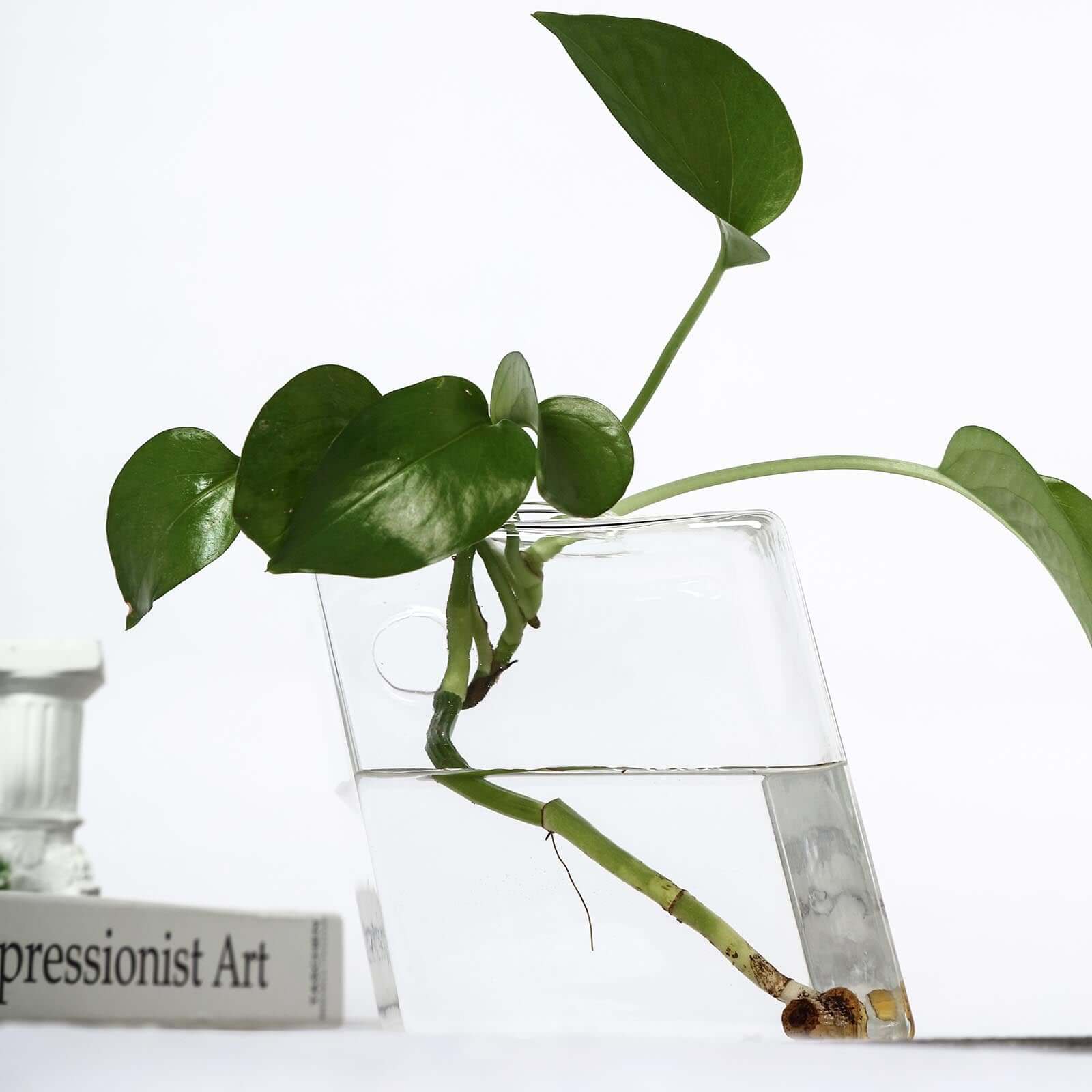 Slide image 61851b077e9945739381a9053ed264f0