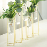 Set of 5 Geometric Gold Frame Test Tube Hydroponic Vases, Conjoined Wedding Centerpieces - 12inch