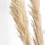 6 Stems | 49inch Wheat Tint Dried Natural Pampas Grass Plant Sprays