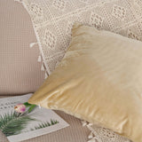 2 Pack | 18inch Champagne Soft Velvet Square Throw Pillow Cover