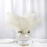 12 Pack | 13-15inch Ivory Natural Plume Real Ostrich Feathers, DIY Centerpiece Fillers