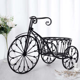 22inch Black Metal Tricycle Planter Basket, Decorative Plant Stand For Indoor/Outdoor