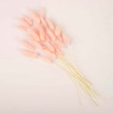 50 Pack | 15inch Blush Rose Gold Rabbit Tail Dried Pampas Grass Stem Bouquets