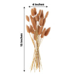 50 Pack | 15inch Brown Rabbit Tail Dried Pampas Grass Stem Bouquets, Boho Flower Arrangement Sprays