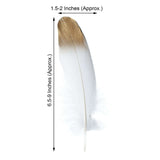 30 Pack | Metallic Gold Dipped White Real Goose Feathers | Craft Feathers for Party Decoration