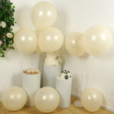 10 Pack Matte Pastel Cream Biodegradable Balloons 18inch, Round Eco-friendly