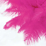 12 Pack | 13-15inch Fuchsia Natural Plume Real Ostrich Feathers, DIY Centerpiece Fillers