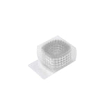Clear storage container with small white beads inside