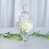 Set of 3 | Clear Glass Modern Apothecary Party Favor Candy Jars With Snap On Lids