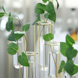 Set of 5 Geometric Gold Frame Test Tube Hydroponic Vases, Conjoined Wedding Centerpieces - 12inch