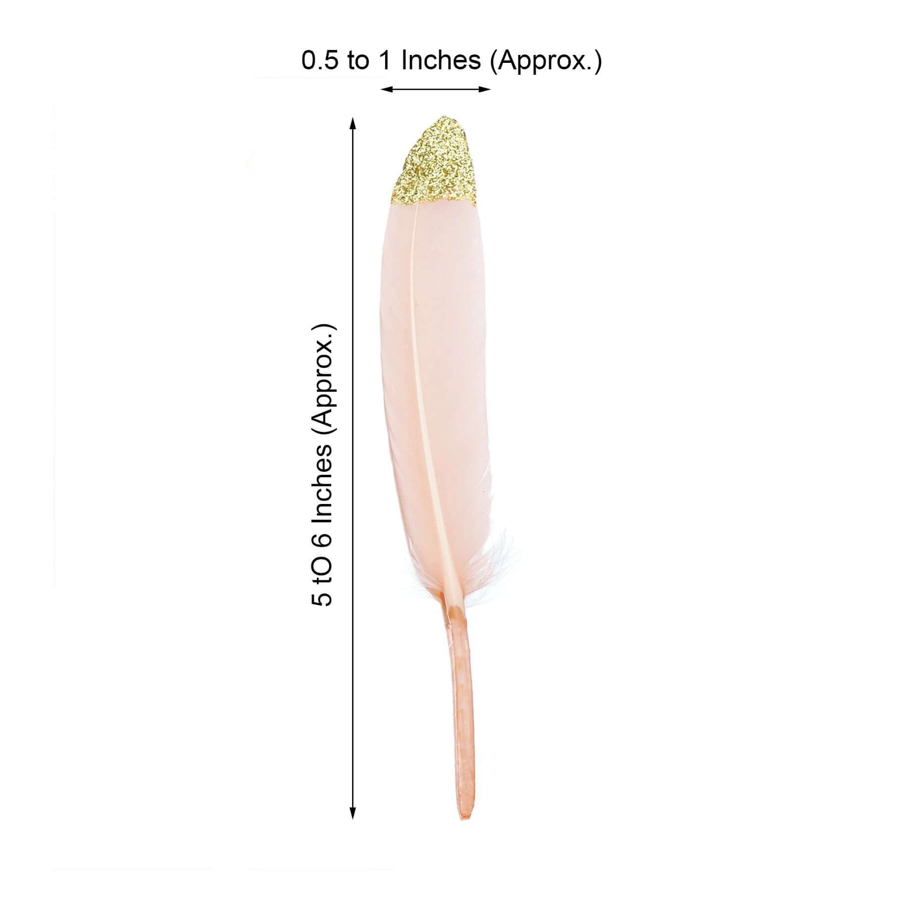 Slide image 2ac0ea0ab66a45d58a1dcdaf2494423a