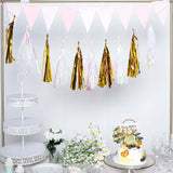 Pre-Tied Metallic Foil Fringe Tassel Garland, Tinsel Curtain for Photo Backdrop Party Decoration