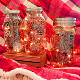 90inch Red Starry Bright 20 LED String Lights, Battery Operated Micro Fairy Lights