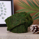 2" Wide | 4 Ft Green Preserved Moss Ribbon Rolls