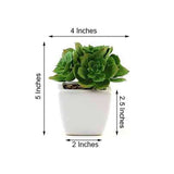 3 Pack | 5inches Ceramic Planter Pot & Artificial Echeveria Elegans Plants