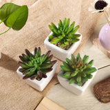 3 Pack | 4inches Ceramic Planter Pot & Artificial Lotus Succulent Plants